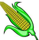 maize.jpg - 5987 Bytes